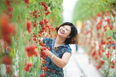 黄河明珠 兴业福地